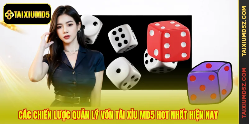 Các chiến lược quản lý vốn Tài Xỉu MD5 hot nhất hiện nay