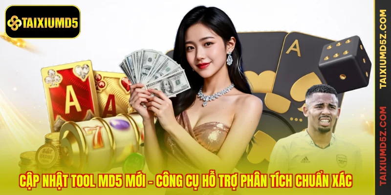 Cập Nhật Tool MD5 Mới – Công Cụ Hỗ Trợ Phân Tích Chuẩn Xác