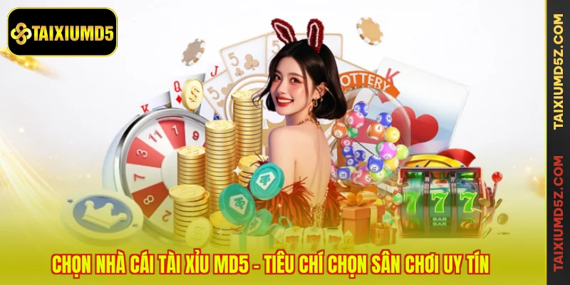 Chọn Nhà Cái Tài Xỉu MD5 - Tiêu Chí Chọn Sân Chơi Uy Tín