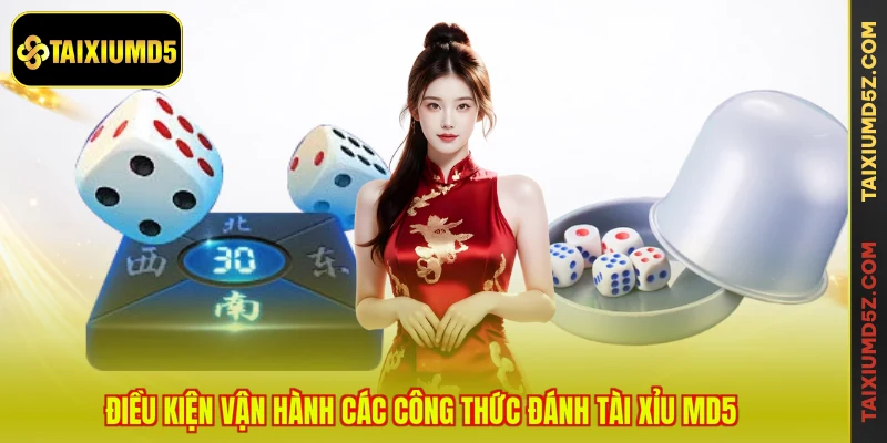 Điều kiện vận hành các công thức đánh tài xỉu MD5