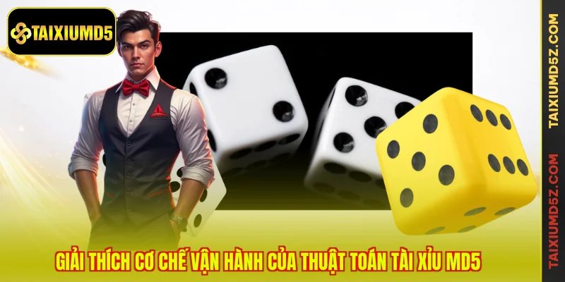 Giải thích cơ chế vận hành của thuật toán tài xỉu MD5