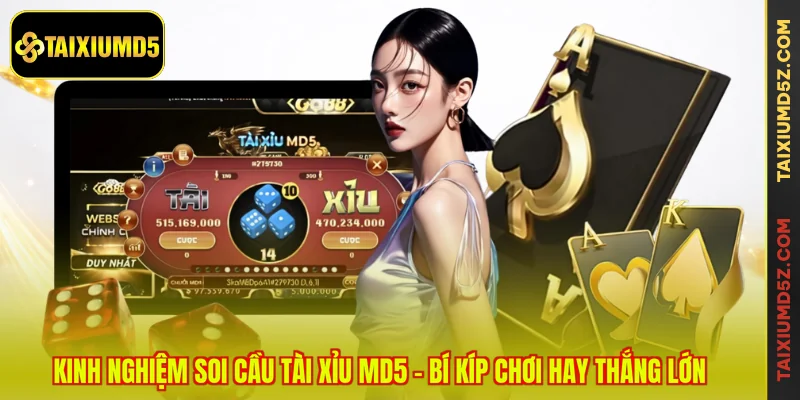 Kinh Nghiệm Soi Cầu Tài Xỉu MD5 - Bí Kíp Chơi Hay Thắng Lớn