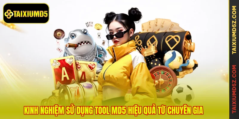 Kinh nghiệm sử dụng tool MD5 hiệu quả từ chuyên gia