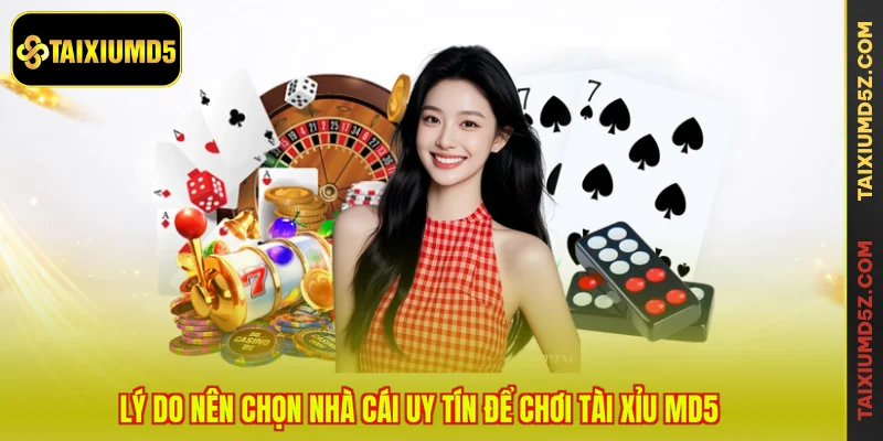Lý do nên chọn nhà cái uy tín để chơi Tài Xỉu MD5