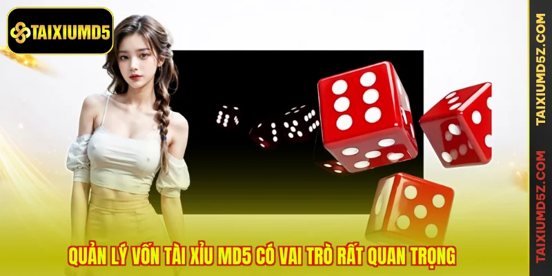 Quản lý vốn Tài Xỉu MD5 có vai trò rất quan trọng