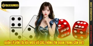 Quản Lý Vốn Tài Xỉu MD5 Và Các Thông Tin Quan Trọng Cần Biết