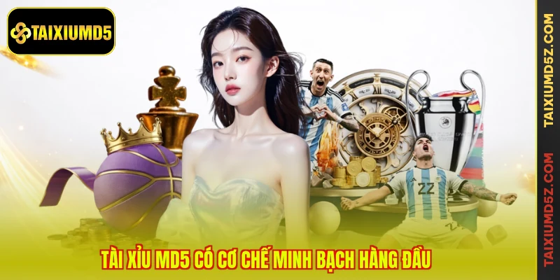 Tài xỉu MD5 có cơ chế minh bạch hàng đầu