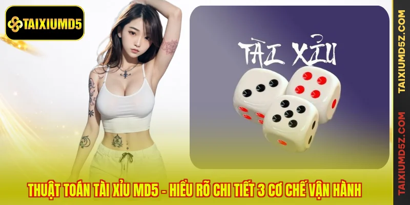 Thuật Toán Tài Xỉu MD5 - Hiểu Rõ Chi Tiết 3 Cơ Chế Vận Hành