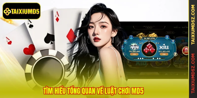 Tìm hiểu tổng quan về luật chơi MD5