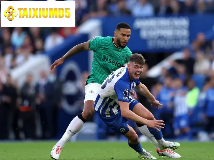 Newcastle United đang thể hiện phong độ không ổn định tại Premier League (Ảnh: ESPN) Newcastle United đang thể hiện phong độ không ổn định tại Premier League (Ảnh: ESPN)